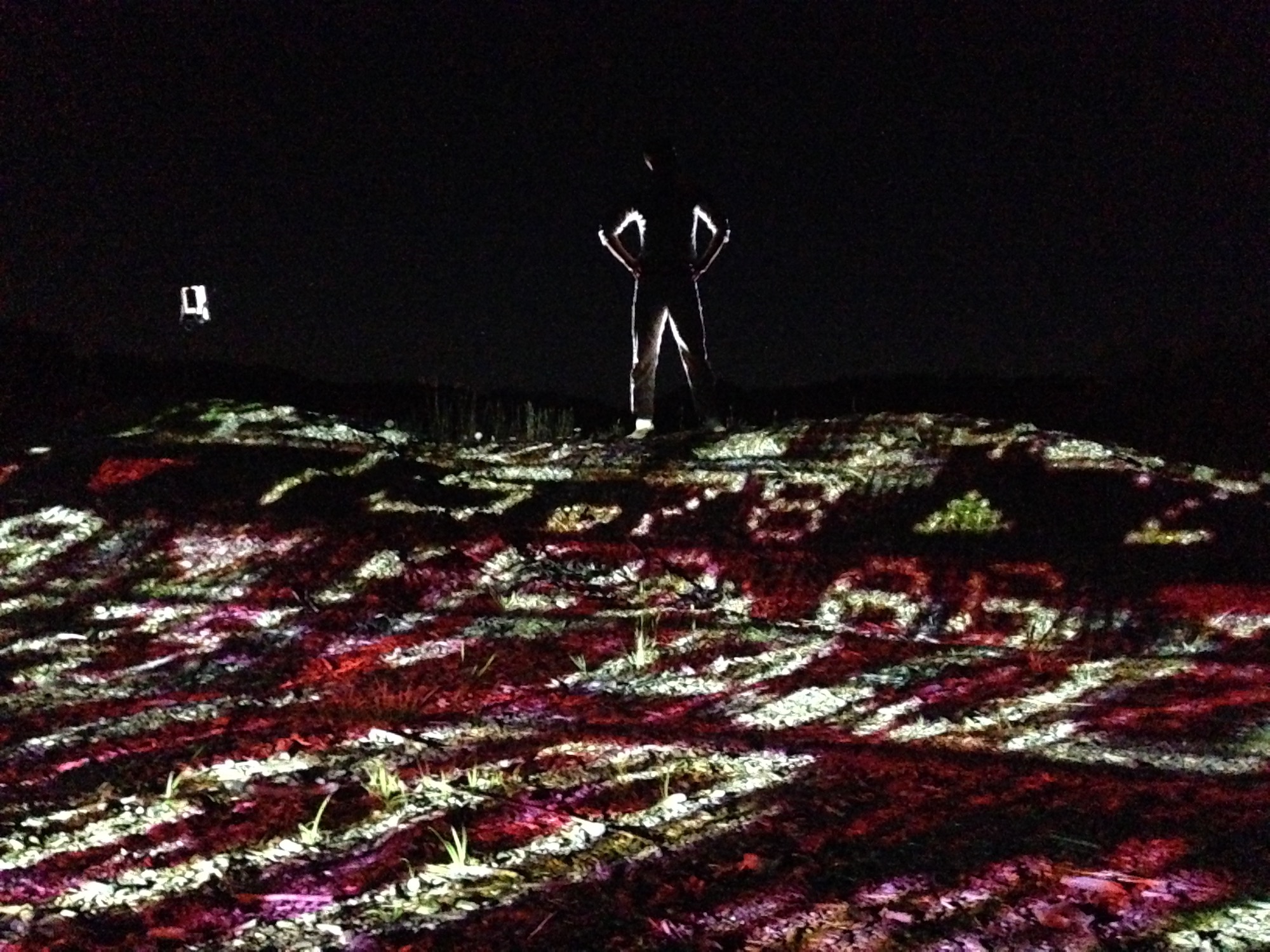 Blake, a dancer, on a hill projected with stylized nasdaq tickers and backlit in the dark